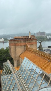 IMG_1517.jpeg